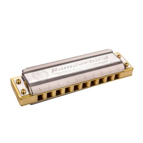 Hohner Thunderbird low C
