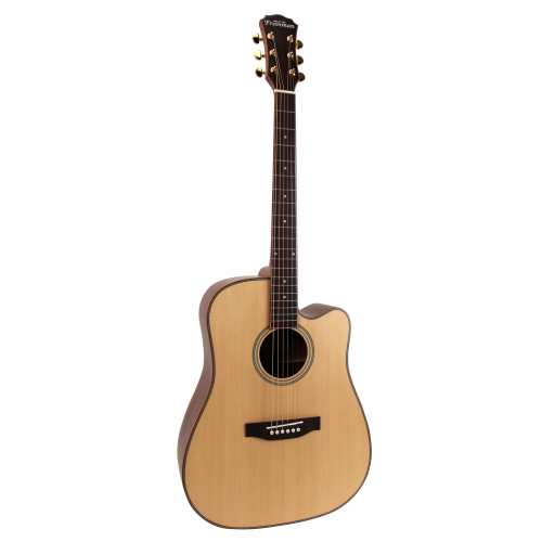 Freshman Folk-Gitarre SONGDCE Dreadnought elektro natur
