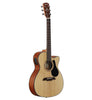 Alvarez Artist AF30CE Natur