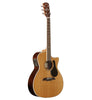Alvarez Artist AG75WCE Natur