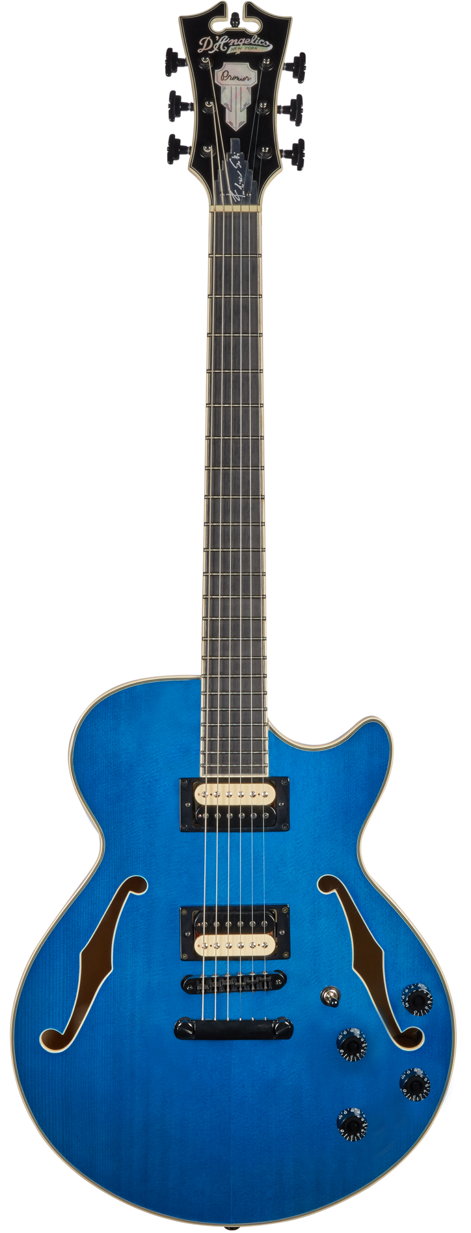 D'ANGELICO PREMIER SS Fabrizio Sotti Signature FABRIZIO BLAU