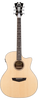 D'ANGELICO Premier Gramercy LS Satin Vintage Natur
