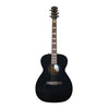 Godin Connaisseur Folk GT + Tasche