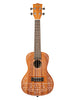 Kala Mandy Harvey Signature, Konzert