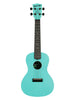 Kala Recycled Waterman, Konzert – Aquanebel