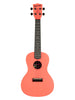 Kala Recycled Waterman, Konzert – Pink Dust