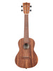 Kala Teak, Konzert