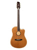 L.R. Baggs AEG-1 Akustik-E-Gitarre - Torrefied