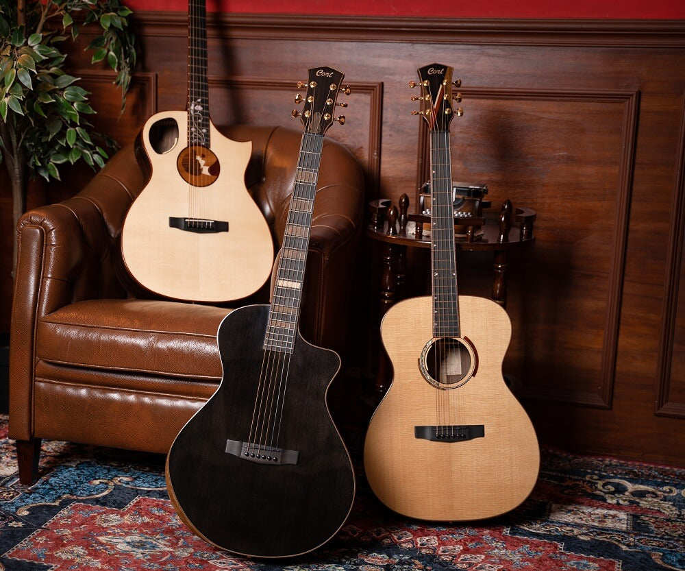 Welche Akustikgitarre sollte man je nach Budget wählen?