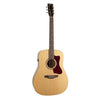 NORMAN B20 Natural GT Presys II + Hülle
