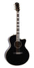 Godin Connaisseur MJ Schwarz  