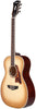 D'Angelico Excel Tammany Sepia-Verlauf