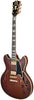 D'Angelico Deluxe DC Satin Braunverlauf