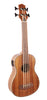 Alabama Ukulele FZU-BASS-Bass 4 Saiten Elektroakustisch