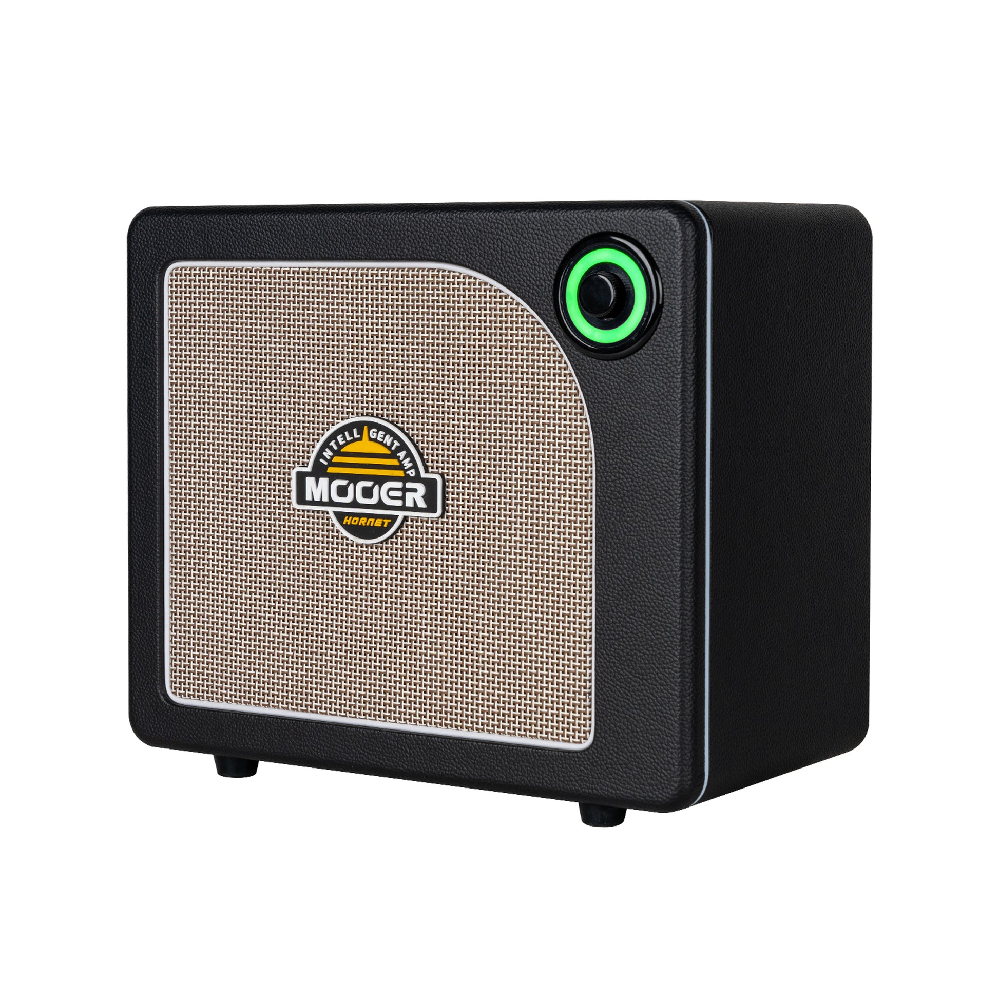Ampli HORNET 15i, 15W, HP 6.5", 52 modélisations d'amplis, 49 effets, accordeur, looper, Bluetooth, USB-C, alimentation, noir