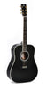 Sigma DT-42 Nashville Sonderedition