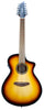 Breedlove Discovery S Concert CE 12-saitig Edgeburst