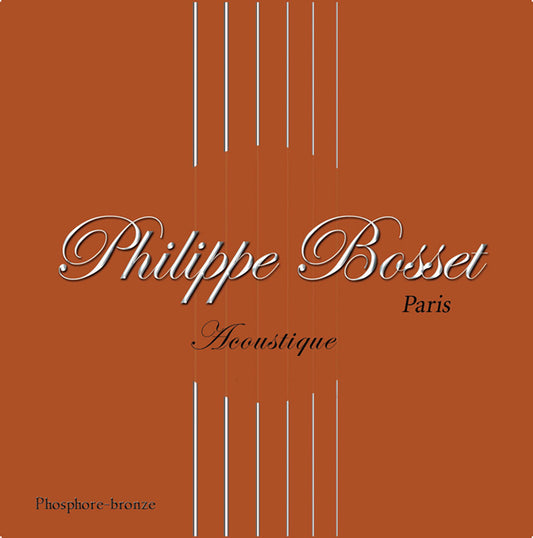 Corde pour acoustique 010, phosphore bronze