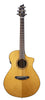 Breedlove Performer Pro Konzert CE RW Aged Toner