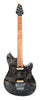 Peavey E-Gitarre HP2 Trans Schwarz