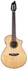 Breedlove Pursuit Exotic S Konzert CE Nylon