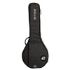 Ritter Hülle Davos2 Banjo 4/5 Saiten Grau