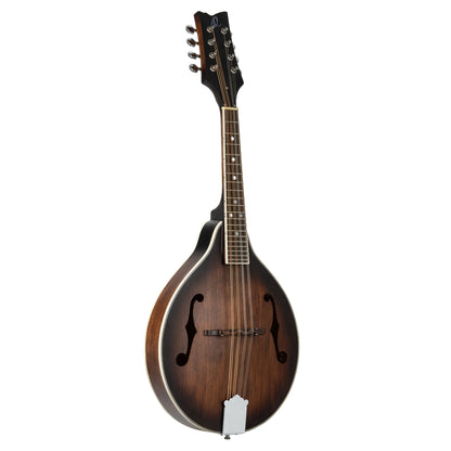 RMA30, mandoline 8 cordes style A, table épicéa, fond & éclisses érable, manche érable, whiskey burst satiné