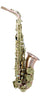 Trevor James Altsaxophon Evo 374SR-RK