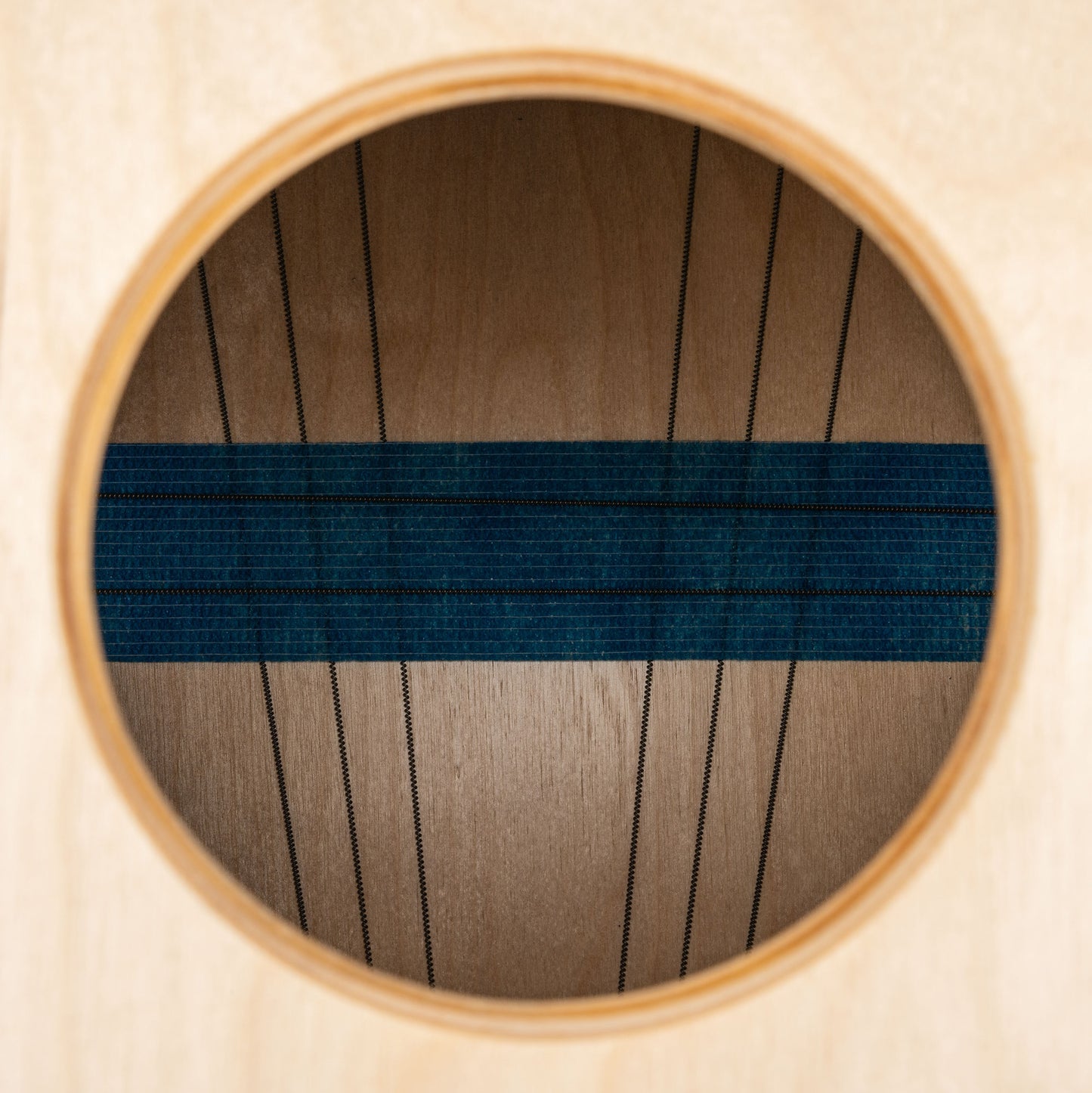 CAJON MEINL ARTISAN TANGO LINE, BLUE FADE