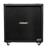 Peavey Lautsprecher 6505 4x12