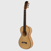 ESTEVE LACOTE-GITARRE AUS PALISANDER