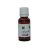 Power Lighting DUFT APFEL 20ML Duft Apfel 20ML