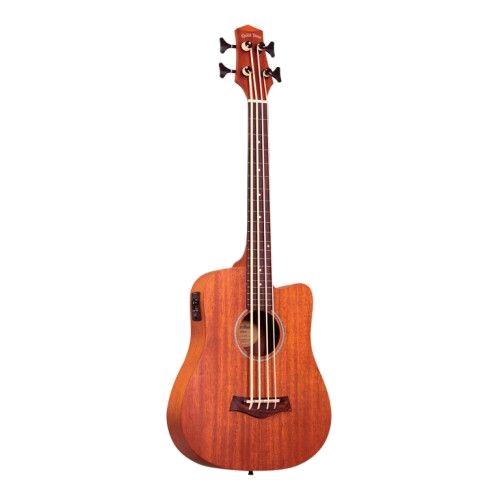 gold tone elektro-akustischer Bass M-BASS/FL