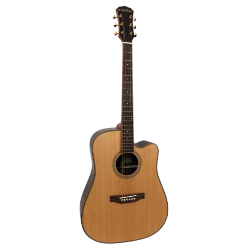 Freshman Folk-Gitarre SONGDCERW Dreadnought elektro natur