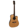 Freshman Folk-Gitarre SONGDCERW Dreadnought elektro natur