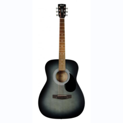 Cort Gitarren Leute 510OPBK