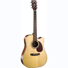 Cort Folk Gitarre 600FNS