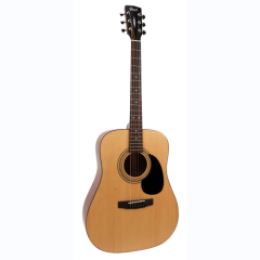 Cort Folk Gitarre 810OP