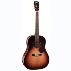 Cort Gitarren Menschen E100SSFSB earth100f Sunburst