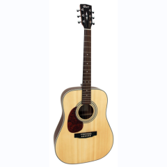 Cort Folk Gitarre E70GOP