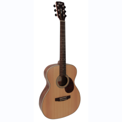 Cort Folk Gitarre L100OMNS